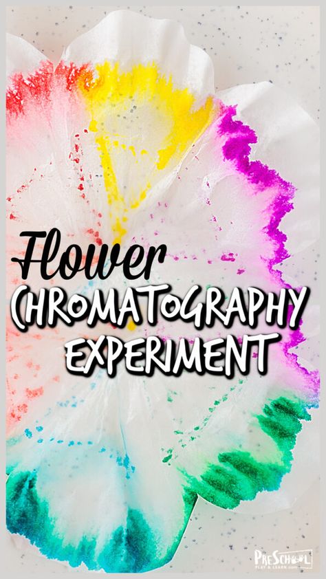 Flower Experiment, Experiment For Preschoolers, Plants Science Experiments, Spring Science Experiments, Flower Activities For Kids, Spring Science Activities, Flower Activity, Flower Science, Spring Preschool Activities