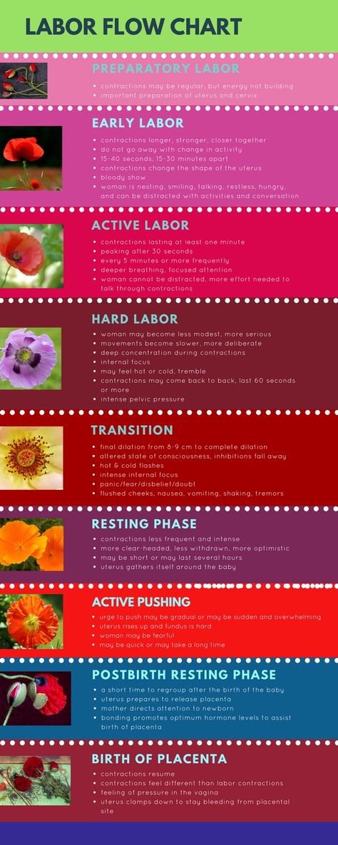 Labor Contractions Chart, Labor Contractions, Midwife Assistant, Study Helper, Contractions Labor, Early Labor, Active Labor, Prepare For Labor, Skill Training