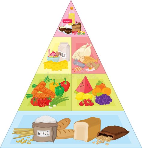 Food Pyramid Kids, Healthy Food Activities For Preschool, Healthy Food Activities, Preschool Food, School Board Decoration, Nutrition Activities, Art Activities For Toddlers, Food Activities, School Murals