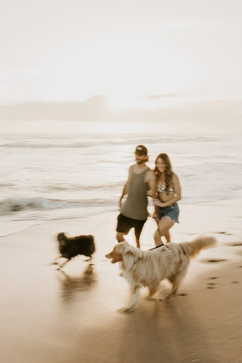 Dog With Couple, Couples With Pets, Couples With Dog, Two Dogs Together, Maternity Photos With Dog, Couples With Dogs, Coastal Photoshoot, Family With Dogs, Pregnant Beach