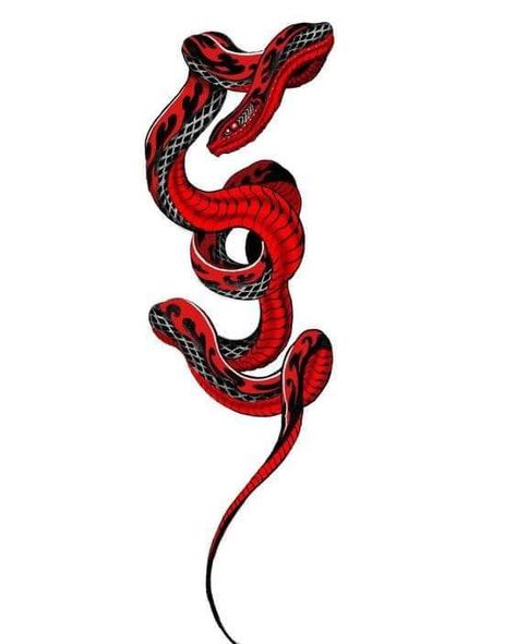 Black Red Tattoo, Snakes Tattoo, Polka Tattoo Designs, Black Snake Tattoo, Trash Polka Tattoos, Red And Black Snake, Trash Polka Tattoo Designs, Cobra Tattoo, Polka Tattoo