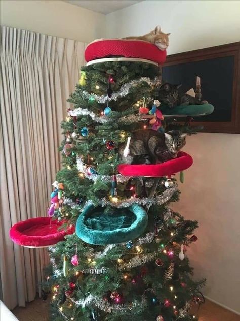 15 People Who Went Above And Beyond To Pet-Proof Their Christmas Trees – InspireMore Cat Proof Christmas Tree, Cat Proofing, Cat Christmas Tree, Black Christmas Trees, Christmas Tree With Gifts, Funny Animal Memes, Cat Diy, Cat Tree, Cute Animal Drawings