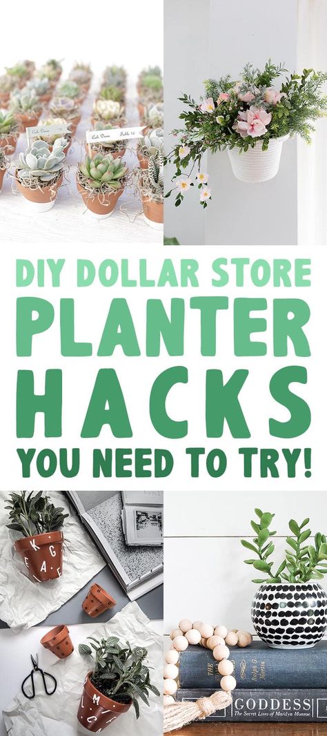 DIY Dollar Store Planter Hacks These DIY Dollar Store Planter Hacks are really amazing and I think that you should try some of the ones that catch your eye. No one will ever know they are from the Dollar Store! Spring is on the way and if you are like me (under 24 inches of snow)…I am looking for the Season of Rebirth lol… where there are tons of greens and flowers everywhere! So why not get a head start and add some to our homes right now! Planter Hacks, Diy Perfume Organizer, Indoor Plant Shelves, Dollar Store Finds, Perfume Organizer, Tree Planters, Succulent Planter Diy, Fake Plants Decor, Dollar Tree Hacks