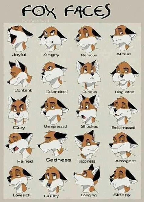 Just awesome Fox Fursona Base, Anthro Expressions, Fox Fursona, Facial Expressions Drawing, Fox Face, Drawing Expressions, Anime Animals, Fox Art, Face Expressions