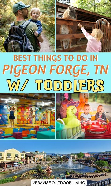 Best Things To Do In Pigeon Forge With Toddlers Places To Take Toddlers, Tennessee Family Vacation, Dollywood Park, Things To Do In Gatlinburg, Pigeon Forge Vacation, Indoor Trampoline Park, Ober Gatlinburg, Gatlinburg Vacation, Smoky Mountains Vacation