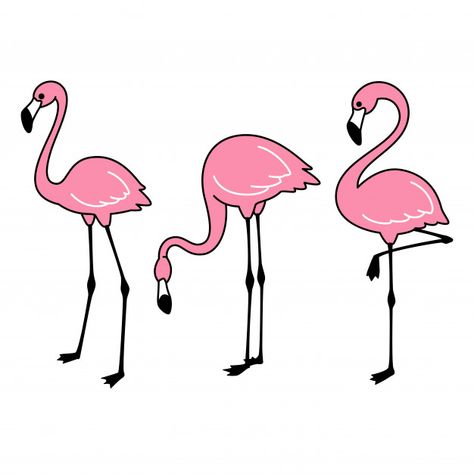 Pink flamingo set | Premium Vector #Freepik #vector #leaf #character #cartoon #bird Flamingo Cartoon Drawing, Animal Tutorial Drawing, Pink Drawing Ideas, Drawing Flamingo, Leaf Character, Flamingo Cartoon, Flamingo Drawing, Flamingo Logo, Vector Leaf