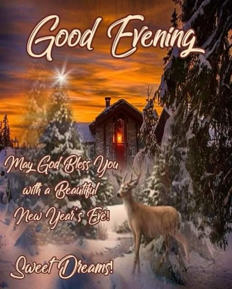 Precious Animals, Good Nights, Cute Good Morning Quotes, Night Blessings, Happy New Year Greetings, Good Night Blessings, Christmas Blessings, Nighty Night, Cute Good Morning