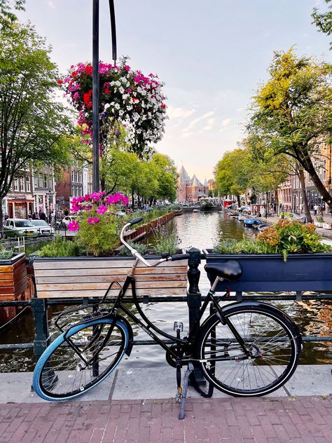 Amsterdam Instagram Spots: 25+ Best Photo Spots in Amsterdam Amsterdam Instagram Spots, Amsterdam Photo Ideas, Amsterdam Photos, Amsterdam Houses, Canal House, Tulip Festival, Instagrammable Places, Amsterdam Netherlands, Best Photo