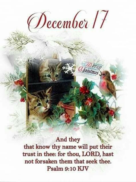 ~Amen~17 December 2020👼 December Prayers, Christmas Creatives, December Blessings, Psalm 9 10, Birthday Wishes For A Friend Messages, December Scriptures, New Month Wishes, Advent Prayers, December Images