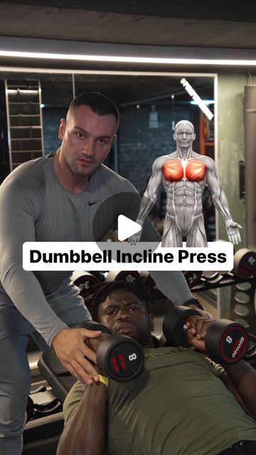 dim_a_thletic | Personal Training | Berlin on Instagram: "When you are new in the gym and try to DO and SUPPOT “Dumbbell Incline Press” 🚀 with your friend" Dumbbell Incline Press, Front Raises Dumbbell, Dumbell Press, Bench Press Form, Incline Dumbbell Press, Incline Press, Dumbbell Fly, Dumbbell Press, Front Raises