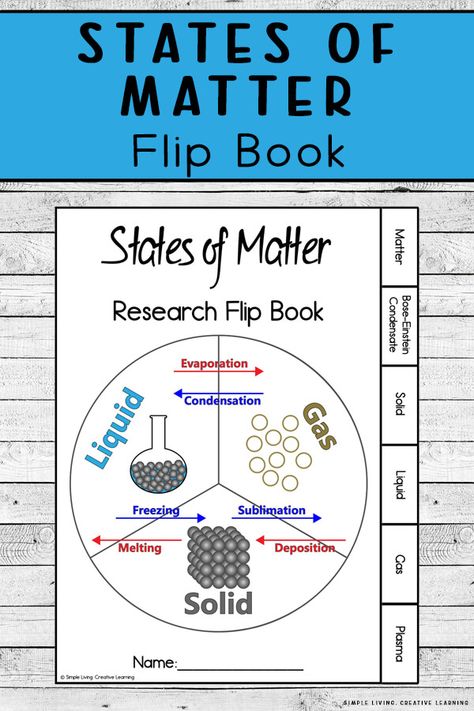 States Of Matter Coloring Page, Matter Activities For Kids, State Of Matter Project Ideas, Matter Science Activities, Changes In States Of Matter, Biology Basics, States Of Matter Activities, Matter Experiments, Jam Ideas