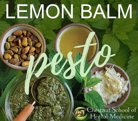 Lemon Balm Recipes, Sourdough Toast, Kitchen Witch Recipes, Herb Recipes, Food Medicine, Herbal Recipes, Broiled Fish, Pesto Recipe, Food Writing