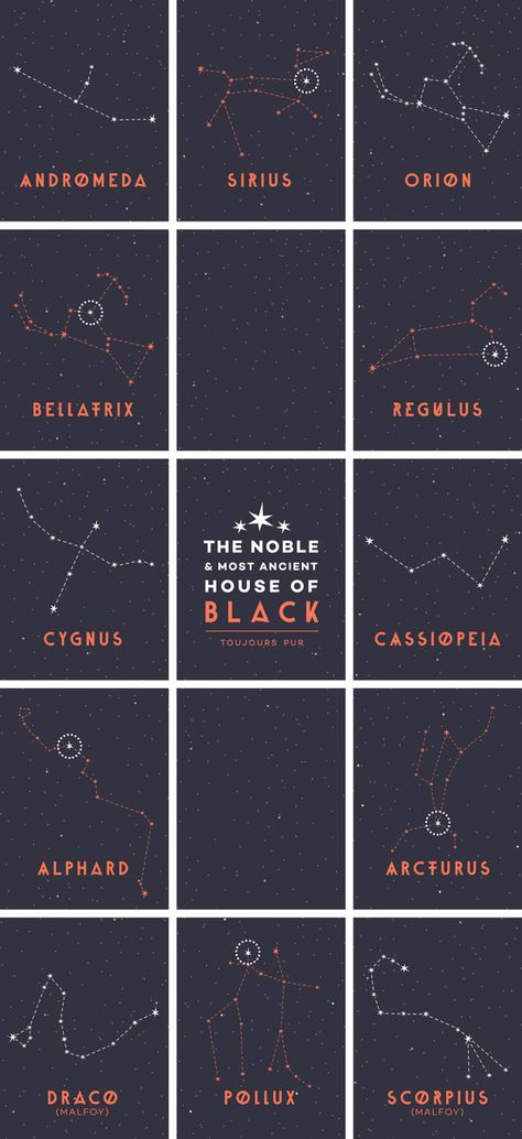 Astronomy Signs Zodiac, Name Of Stars Astronomy, Constellations And Their Meanings, Astronomy Related Names, Harry Potter Constellations, Marauders Constellations, Space Names Astronomy, Star Names Astronomy, Anything For Our Moony Aesthetic