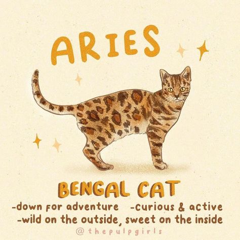 Jupiter Sign, Saturn Sign, Mercury Sign, All About Aries, Aries Baby, Aries Art, Aries Astrology, Dream's Cat, Aries Facts