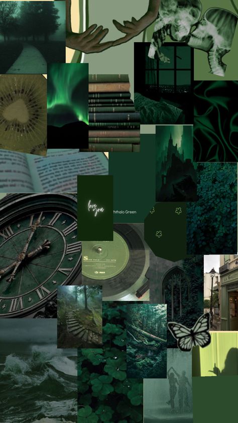 Scary Woods, Sacramento Green, Slytherin Stuff, Dark Green Wallpaper, Slytherin Boys, Rare Colors, Old Castle, Aesthetic Lockscreen, Color Aesthetic