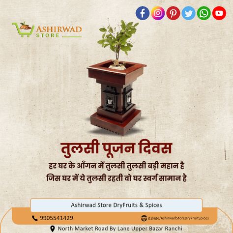 Happy Tulsi Pujan Diwas! #tulsiplant #tulsi Tulsi Pooja Divas, Tulsi Diwas Wishes, Tulsi Vivah, Tulsi Plant, Design Motivation, Ganesh Lord, Durga Images, Knowledge Quotes, Creative Design