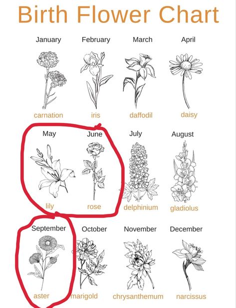 Flower Horoscope Tattoo, Birthflower Zodiac Tattoo, Zodiac Flower Bouquet Tattoo, Minimalist Birth Flower Chart, Birth Month Flower Zodiac Constellation, Daisy May, Flower Chart, Lily Rose, Delphinium