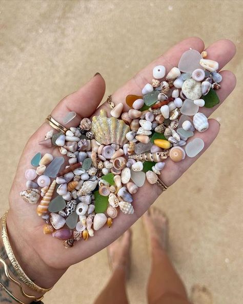 Bailey Core, Fun Beach Pictures, Beach Core, Sea Treasure, Ocean Girl, Ocean Treasures, Shell Collection, Perfect Skin Care Routine, She Sells Seashells