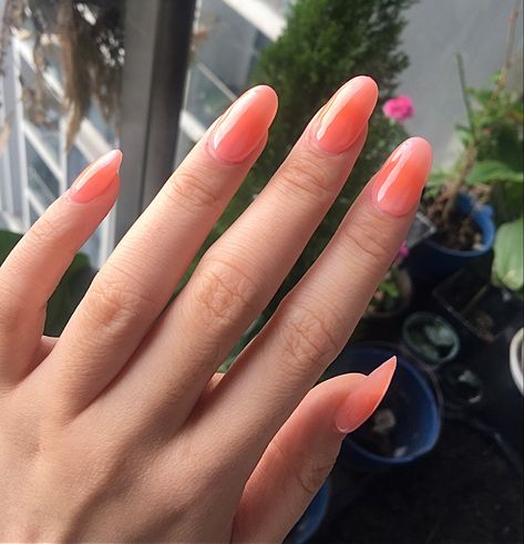 Peachy Orange Oval Round Ombre Nails Round Ombre Nails, Pinky Orange Nails, Peachy Orange Nails, Blush Nail, Pinky Orange, Peachy Blush, How To Make Orange, Orange Blush, Pink Ombre Nails