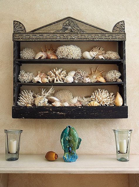 Shell Display, Art Coquillage, Bunny Williams Home, Bunny Williams, House By The Sea, Cabinet Of Curiosities, Shell Decor, Seashell Crafts, World Of Interiors