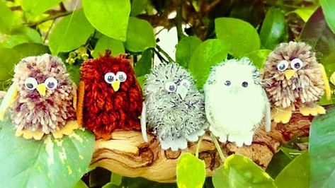 Pom Pom Owl, Pom Pom Animals, Kids Punch, Recycled Crafts Kids, Pom Crafts, Pom Pom Baby, Puppet Crafts, Baby Owl, Pom Pom Crafts