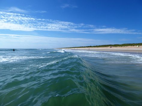 Apollo Beach - New Smyrna Beach, Cape Canaveral Seashore Apollo Beach Florida, New Smyrna Beach Florida, Cape Canaveral, New Smyrna Beach, Orlando, Trip Advisor, Swimming, Florida, Water