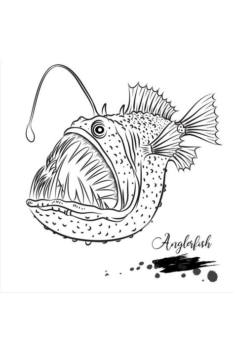 Angler fish drawing Fish With Light On Head Drawing, Bluefin Tuna Drawing, Angler Fish Sketch, Angler Fish Coloring Page, Lantern Fish Drawing, Anglerfish Illustration, Fish Drawings Simple, Scary Fish Drawing, Big Fish Drawing