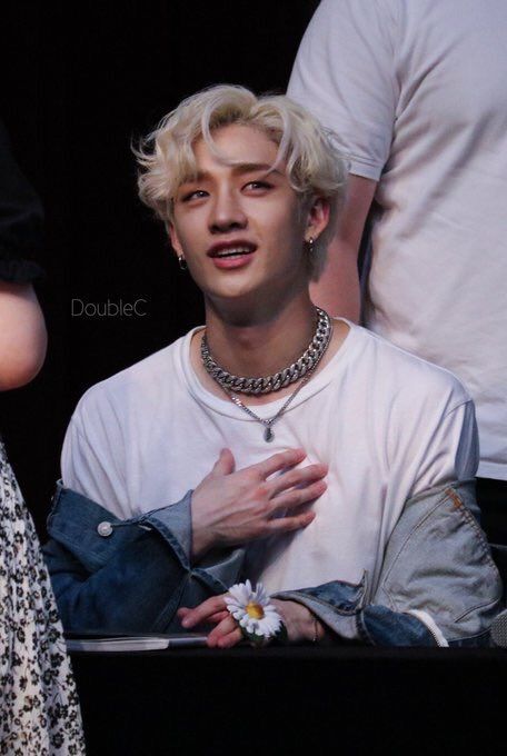 Chan Stray Kids, Bang Christopher Chan, Stray Kids Memes, Christopher Chan, Stray Kids Chan, Chris Chan, Christopher Bang, Six Feet Under, Kid Memes