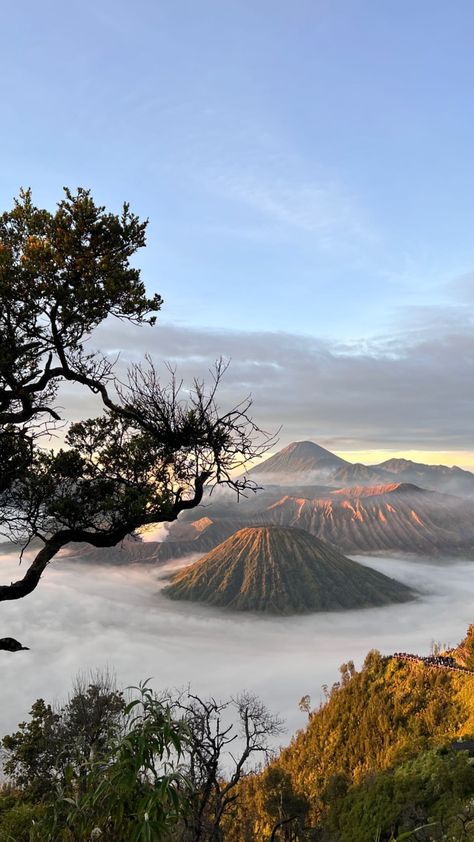 Bromo Mountain, Nature Escape, Mountain Aesthetic, Creative Instagram Photo Ideas, Cartoon Jokes, Alam Yang Indah, Malang, Sky Aesthetic, Cat Drawing