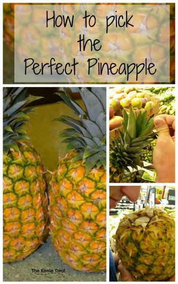 How to Pick the Perfect Pineapple -Jared always picks the best Pineapples, I don't know if he is just lucky or if working the produce department in high school really did teach him how to pick the perfect pineapple.Here are the things to look for when picking a Pineapple. Picture Of Pineapple, Pineapple Diet, Healthy Nutrition Plan, Ripe Pineapple, Pineapple Water, Pineapple Recipes, Fruit Picking, Food Info, Good Health Tips