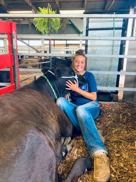 4-h Aesthetic, Cute Showing Livestock Outfits, Ffa Outfits, Livestock Vet, Show Cow Aesthetic, Dairy Show Cows, Fair Girls, Showing Cattle, Livestock Showing