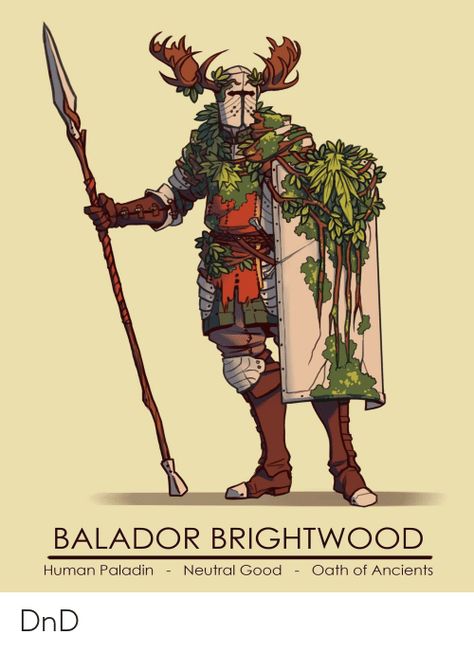 Human Paladin, Dnd Paladin, Good Meme, Knight Art, D&d Dungeons And Dragons, Dungeons And Dragons Characters, Dungeons And Dragons Homebrew, Dnd Ideas, Dnd Art