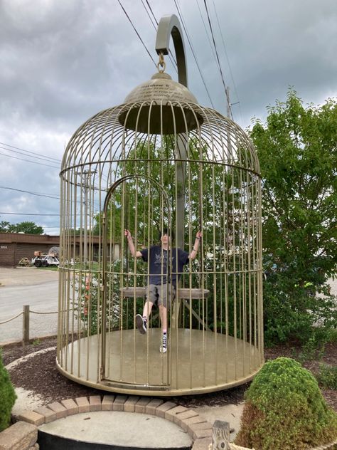 me in a bird cage Golden Bird Cage, Big Decorations, Drinks Bar, Castle In The Sky, Tin Roof, Pet Stuff, Bar Drinks, Diy Stuffed Animals, Bird Cage