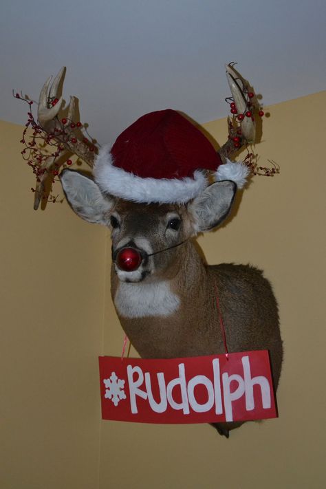 I already decorate adams deers at cmas but im totally adding the red nose haha decorating a man cave for Christmas looks a little like this in my house! Man Cave Christmas Decor, Deer Mount Christmas Decor, Man Cave Christmas Tree, Christmas Deer Head Decor, Decorate Deer Mount For Christmas, Decorated Deer Mount, Decorating Deer Mounts For Christmas, Deer Head Christmas Decor, Deer Head Decor Christmas