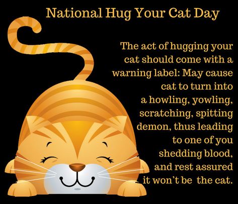 Hug your cat day National Hug Your Cat Day, Animal Calendar, Hug Your Cat Day, Southern Comfort Food, Cartoon Cats, Cat Activity, Secret Power, National Days, Fancy Cats