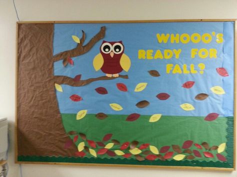 Fall bulletin board. Whooo's ready for fall? Owls and leaves Bulletin Board Ideas For Work, August Bulletin Board Ideas, Bulletin Board Ideas For Work Offices, August Bulletin Board, Board Ideas For Preschool, Bulletin Board Ideas For Preschool, Fall Bulletin Board Ideas, Owl Bulletin Boards, September Bulletin Boards