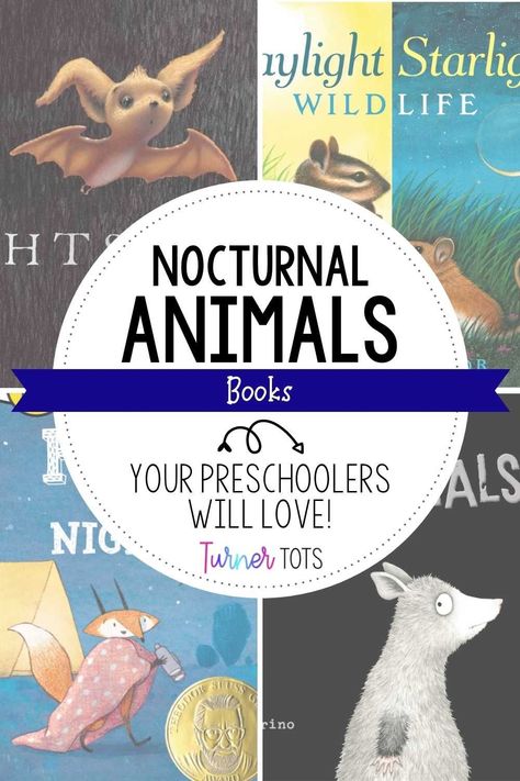 Are you planning a nocturnal animal unit for your preschool classroom!? I’ve rounded up a list of nocturnal animal books that will captivate your little learners and spark their curiosity. Each book features a different nocturnal animal and will capture your students’ attention. Use these read alouds along with nocturnal animal activities to round out your lesson plans. Click here to check out the books you can add to your prek nocturnal theme activities! Nocturnal Animals Preschool Activities, Nocturnal Animals Toddler Activities, Nocturnal Animals Preschool Lesson Plans, Nocturnal Animal Fine Motor Activities, Nocturnal Animals Preschool Science, Nocturnal Animals Kindergarten, Nocturnal Animal Books Preschool, Animal Science Activities, Nocturnal Animals Activities