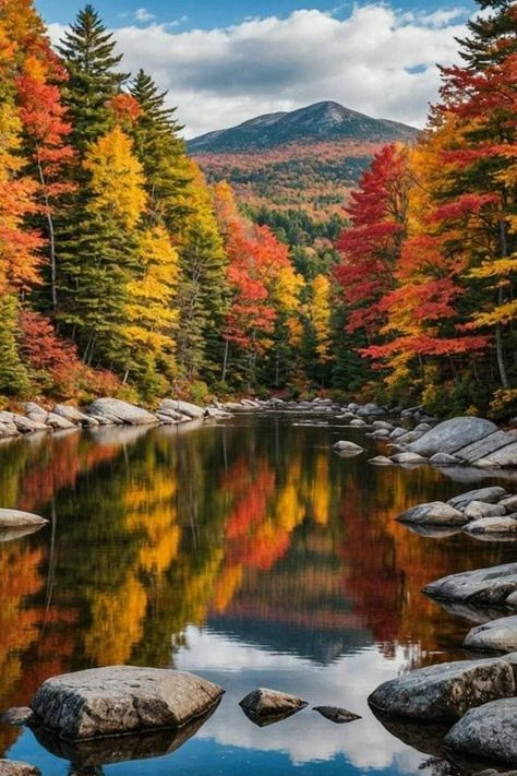 New England Scenery, New Hampshire Aesthetic, Autumn Nail Inspo, Fall Travel Destinations, New Hampshire Fall, Kancamagus Highway, Fall Foilage, Fall Scenes, Vermont Fall