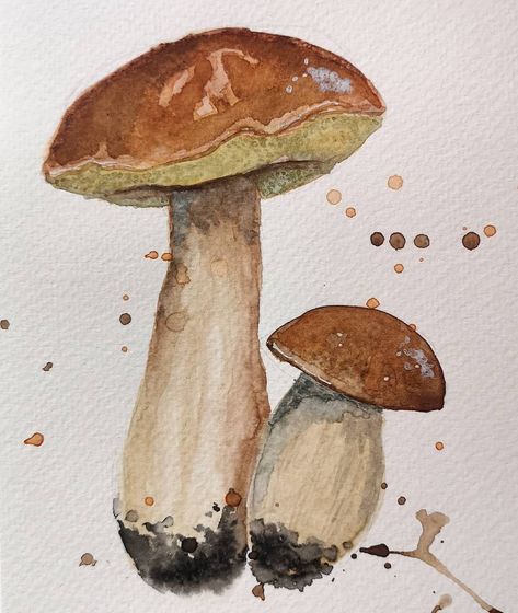 Tuscan Porcini mushrooms - original watercolour Porcini Mushroom Drawing, Mush Room Drawing, Watercolor Mushroom Tutorial, Mushroom Watercolor Paintings, Watercolour Mushroom, Mushroom Paintings, Mushrooms Watercolor, Mushroom Watercolor, Watercolor Mushroom