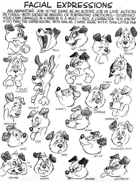 Preston Blair cute expressions -- LEARN THIS Dog Facial Expressions Drawing, Dog Facial Expressions, Disney Expressions, Preston Blair, Facial Expressions Drawing, Cartoon Expression, Character Design Cartoon, Cartoon Style Drawing, Learn Drawing