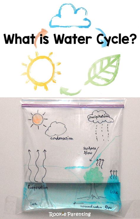 Where does water come from? Find out in this "What is Water Cycle?" Science Experiment What Is Water Cycle, Water Cycle Activities, Vetenskapliga Experiment, Cycle For Kids, Kid Science, Simple Science, Kid Experiments, Easy Science Experiments, Water Cycle