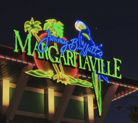 Margaritaville Aesthetic, Margaritaville Party, Bday Themes, Senior Thesis, 5 Senses, Jimmy Buffett, 21st Birthday, Key West, Fantasy Character Design