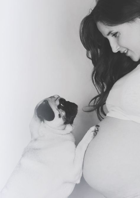 Studio Maternity Photos With Dog, Pregnant Photoshoot With Dog, Maternity Dog Photoshoot, Pregnancy Photoshoot With Dog, Belly Pictures Pregnant, Maternity Shoot With Dog, Pregnant Belly Photography, Maternity Photos With Dog, Baby Belly Photos