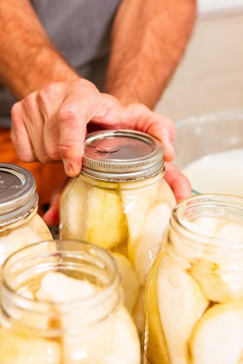 If you're looking for a straightforward, easy canning recipe, then this recipe for how to can pears is the one for you! A simple syrup is poured over sliced pears, and into the water bath they go. A few minutes later, the pears are ready to go for months to come! | wyseguide.com #canning #recipe #pears #preserving #fall're looking for a straightforward, easy canning recipe, then this recipe for how to can pears is the one for you! A simple syrup is poured over sliced pears, and into the water ba Canning Pears With Honey, Canning Pears Without Sugar, How To Can Pears, Can Pears, Canning Water, Canning Pears, A Few Minutes Later, Easy Canning, Canned Pears