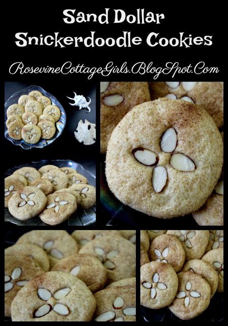 Sand Dollar Cookies. Easy and fun baking activity for the office or fun with the kids. Delicious recipe. Easy to make and adorable #beach #cookies #sweets Snickerdoodle Cookies Recipe, Sand Dollar Cookies, Easy To Make Cookies, Organic Baking, Beach Cookies, Pumpkin Spice Cookies, Dark Chocolate Cookies, Snickerdoodle Cookies, White Chocolate Cookies