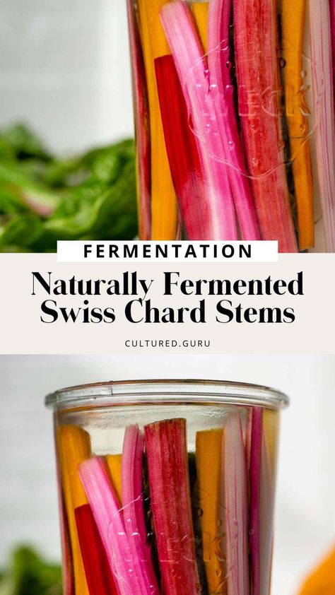 Fermented Chard Stems, Chard Stem Recipes, Swiss Chard Storage, Dehydrating Swiss Chard, Swiss Chard Kimchi, How To Preserve Swiss Chard, Swiss Chard Stems Recipes, Pickled Swiss Chard Stems, Preserving Swiss Chard