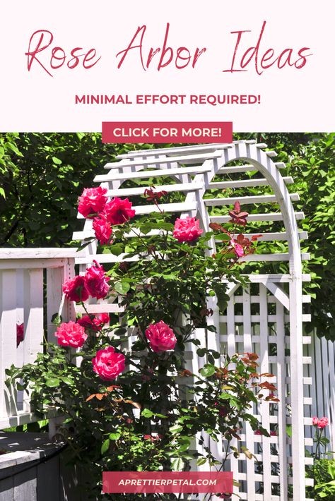 Diy Rose Arch Trellis, Rose Arbor Ideas, Climbing Roses On Arbor, Rose Arches Garden Diy, Rose Trellis Ideas Diy, Rose Arches Garden, Garden Arbor Ideas, White Picket Fence Garden, Rose Garden Inspiration