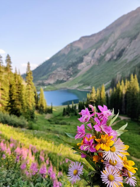 Wildflowers and Emerald lake near Crested Butte CO. [3000x4000] [OC]  Click the link for this photo in Original Resolution.  If you have Twitter follow twitter.com/lifeporn5 for more cool photos.  Thank you author: https://bit.ly/2CixMOh  Broadcasted to you on Pinterest by pinterest.com/sasha_limm  Have The Nice Life! Flowers Photography Beautiful, Wildflowers Photography, Emerald Lake, Crested Butte, National Photography, Beautiful Images Nature, Geocaching, Landscape Pictures, Landscape Photographers