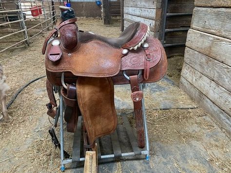 14 3/4 Martin Roper | HorseClicks Used Saddles For Sale, Miniature Horse Tack, Kiger Mustang, Highland Pony, Irish Sport Horse, Saddles For Sale, Roping Saddles, Welsh Pony, Horse Profile