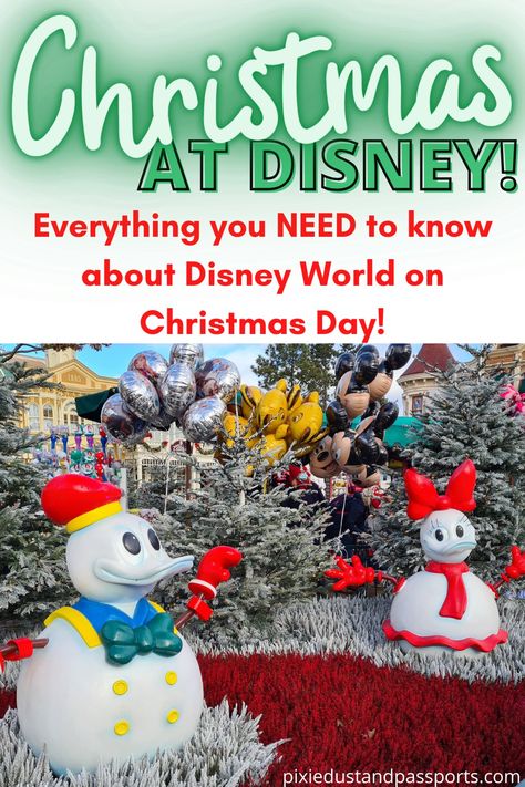 This post will tell you everything you need to know about Disney World at Christmas! From opening hours to Disney World Christmas food, I've got you! Disney World At Christmas, Christmas At Disney World, Christmas At Disney, Disney World Christmas, Animal Kingdom Lodge, Very Merry Christmas Party, Disney World Florida, Disney World Shirts, Christmas Parade